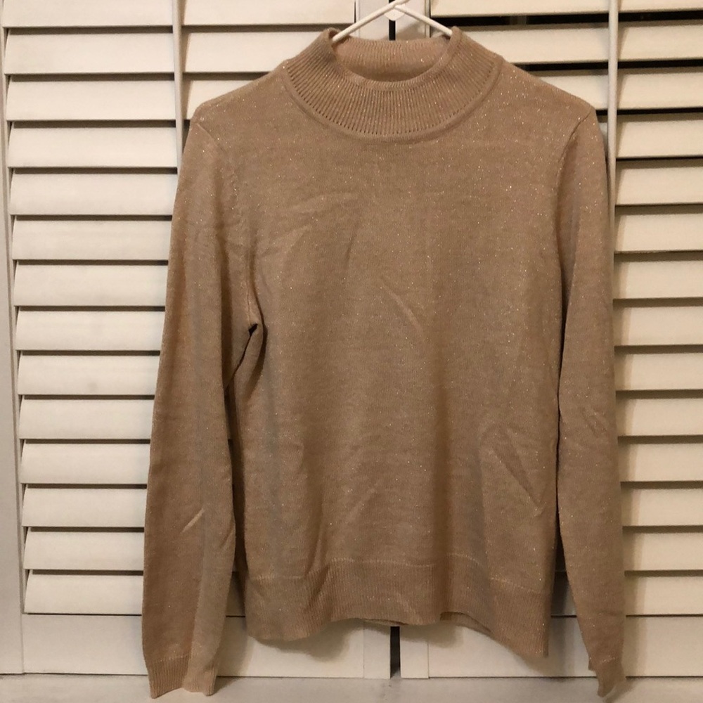 Laura Scott Gold sparkle sweater-disregard wrinkle